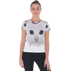 Cat Animal Pet Kitty Cats Kitten Short Sleeve Sports Top  by Sapixe