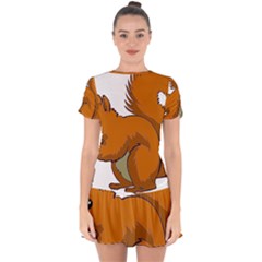 Squirrel Animal Pet Drop Hem Mini Chiffon Dress by Sapixe