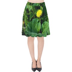 Yellow Dandelion Flowers In Spring Velvet High Waist Skirt by FunnyCow