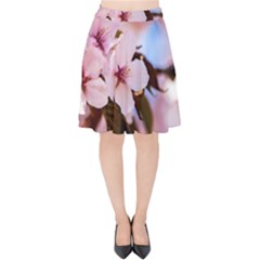 Three Sakura Flowers Velvet High Waist Skirt by FunnyCow