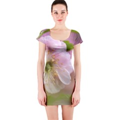Single Almond Flower Short Sleeve Bodycon Dress by FunnyCow