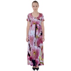 Blooming Almond At Sunset High Waist Short Sleeve Maxi Dress by FunnyCow