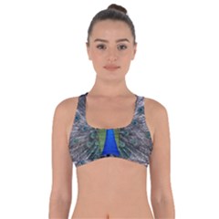 Peacock Bird Animals Pen Plumage Got No Strings Sports Bra by Sapixe