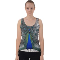 Peacock Bird Animals Pen Plumage Velvet Tank Top by Sapixe