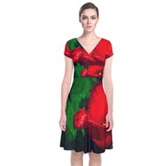 Red Tulip After The Shower Short Sleeve Front Wrap Dress by FunnyCow