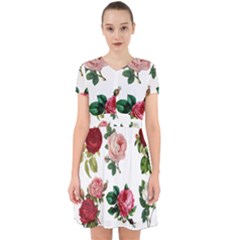 Roses 1770165 1920 Adorable In Chiffon Dress by vintage2030