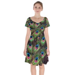 Peacock Feathers Color Plumage Short Sleeve Bardot Dress by Celenk