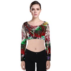 Dedelion Velvet Long Sleeve Crop Top by bestdesignintheworld