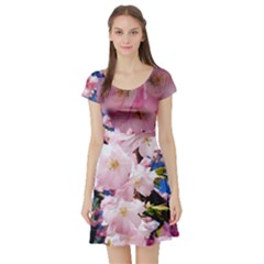 Flower Cherry Wood Tree Flowers Short Sleeve Skater Dress by Sapixe