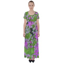 Hot Pink Succulent Sedum With Fleshy Green Leaves High Waist Short Sleeve Maxi Dress by myrubiogarden