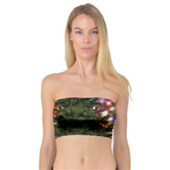 Christmas Tree Fir Tree Star Bandeau Top by Wegoenart