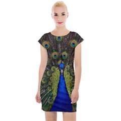 Peacock Bird Plumage Display Full Cap Sleeve Bodycon Dress by Wegoenart