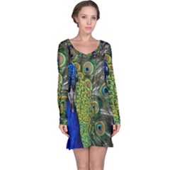 Peacock Close Up Plumage Bird Head Long Sleeve Nightdress by Wegoenart