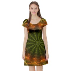 Fractal Digital Short Sleeve Skater Dress by Pakrebo