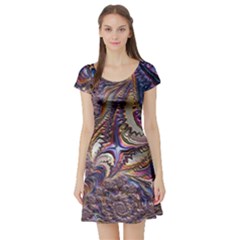 Fractal Artwork Pattern Digital Short Sleeve Skater Dress by Pakrebo