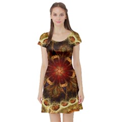 Dawn Day Fractal Sunny Gold Red Short Sleeve Skater Dress by Pakrebo