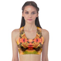 Fractals Graphic Fantasy Colorful Sports Bra by Pakrebo