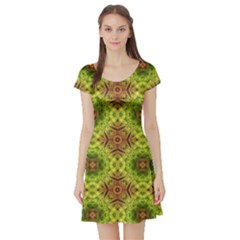 Tile Background Image Pattern Green Short Sleeve Skater Dress by Pakrebo