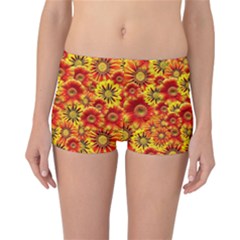 Brilliant Orange And Yellow Daisies Reversible Boyleg Bikini Bottoms by retrotoomoderndesigns