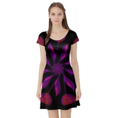 Background Purple Black Red Short Sleeve Skater Dress by Pakrebo