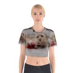 Cockapoo In Dog s Bed Cotton Crop Top by pauchesstore