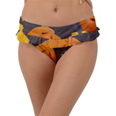 Old Crumpled Pumpkin Frill Bikini Bottom by rsooll