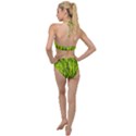 Agricultural field   Plunging Cut Out Swimsuit View2