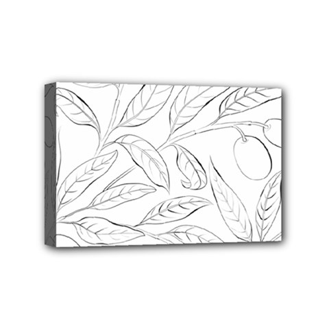 Organic Olive Leaves Pattern Hand Drawn Black And White Mini Canvas 6  X 4  (stretched) by genx