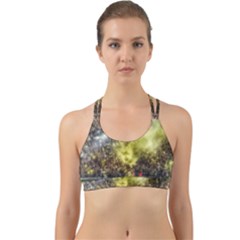 Columbus Crew Crowd, Mapfe Stadium Back Web Sports Bra by Riverwoman