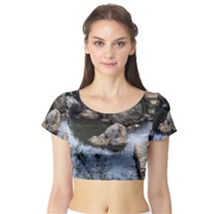 Garden Of The Phoenix Short Sleeve Crop Top by Riverwoman