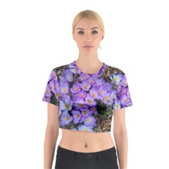 Signs Of Spring Purple Crocua Cotton Crop Top by Riverwoman