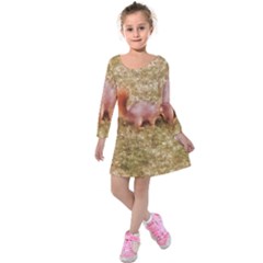 Squirrel Kids  Long Sleeve Velvet Dress by Riverwoman