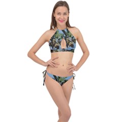 Palm Tree Cross Front Halter Bikini Set by snowwhitegirl