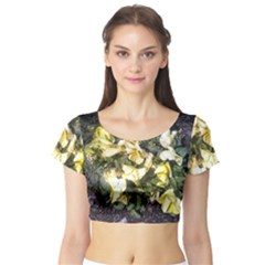 April Pansies Short Sleeve Crop Top by Riverwoman