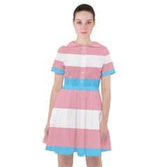 Transgender Pride Flag Sailor Dress by lgbtnation