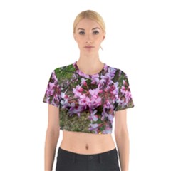 Redbud In April Cotton Crop Top by Riverwoman