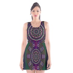 Orchid Landscape With A Star Scoop Neck Skater Dress by pepitasart