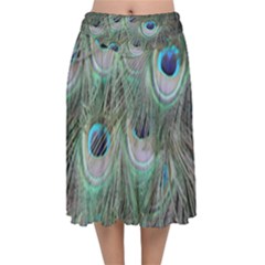 Peacock Feather Pattern Plumage Velvet Flared Midi Skirt by Pakrebo