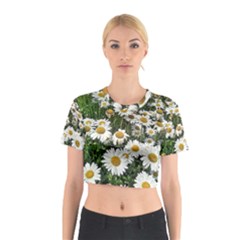 Columbus Commons Shasta Daisies Cotton Crop Top by Riverwoman