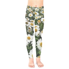 Columbus Commons Shasta Daisies Kids  Legging by Riverwoman