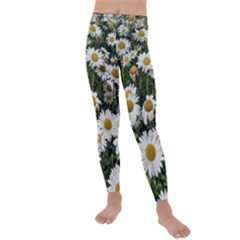 Columbus Commons Shasta Daisies Kids  Lightweight Velour Leggings by Riverwoman