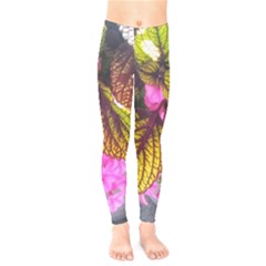 Coleus & Petunia Kids  Legging by Riverwoman