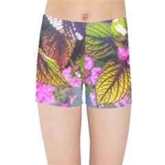 Coleus & Petunia Kids  Sports Shorts by Riverwoman