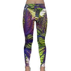 Dark Coleus Classic Yoga Leggings by Riverwoman