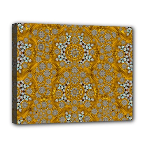 A Star In Golden Juwels Deluxe Canvas 20  X 16  (stretched) by pepitasart