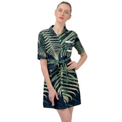 Nature 605506 960 720 Belted Shirt Dress by vintage2030