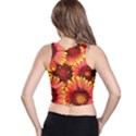 Background 1655938 960 720 Racer Back Crop Top View2