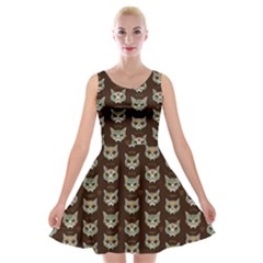 Calavera Cat Brown Velvet Skater Dress by trulycreative