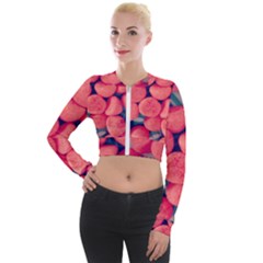 Fraise Bonbons Long Sleeve Cropped Velvet Jacket by kcreatif