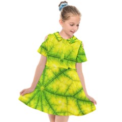 Photosynthesis Leaf Green Structure Kids  Short Sleeve Shirt Dress by Wegoenart